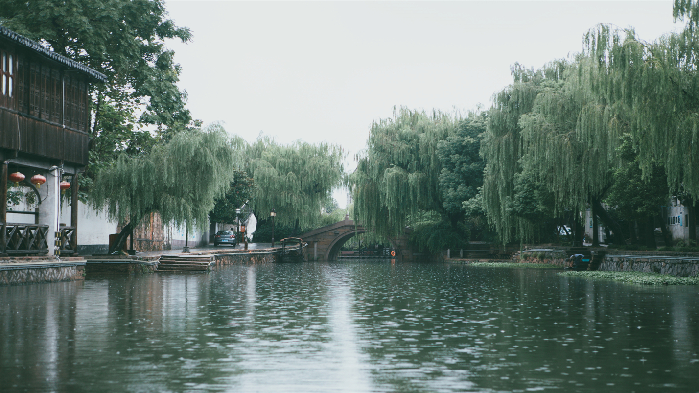 有关冬雨的优美句子