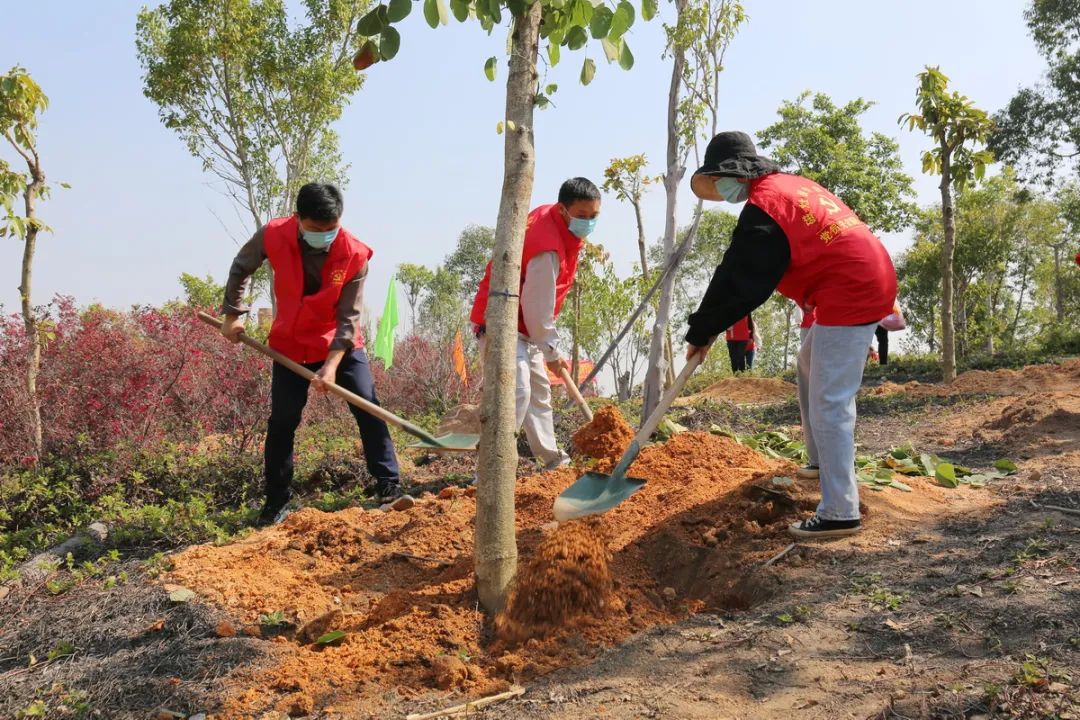 共植一片绿，助力“碳中和”