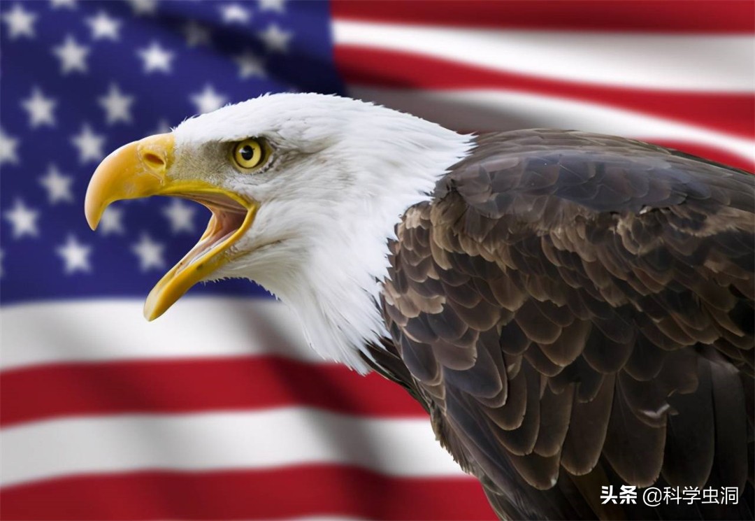 五个中国国鸟候选，丹顶鹤得票高麻雀随处可见，你支持哪一个？