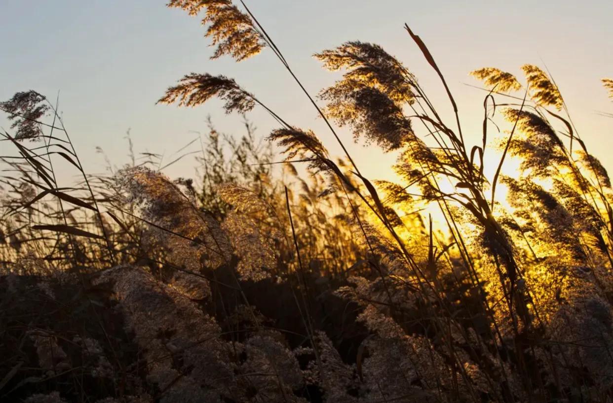 2022晚风太惬意的朋友圈唯美句子