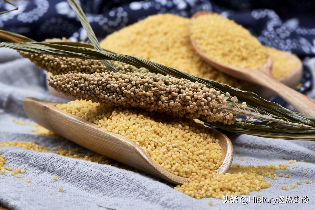 中国是从哪个朝代开始正式有村长的？