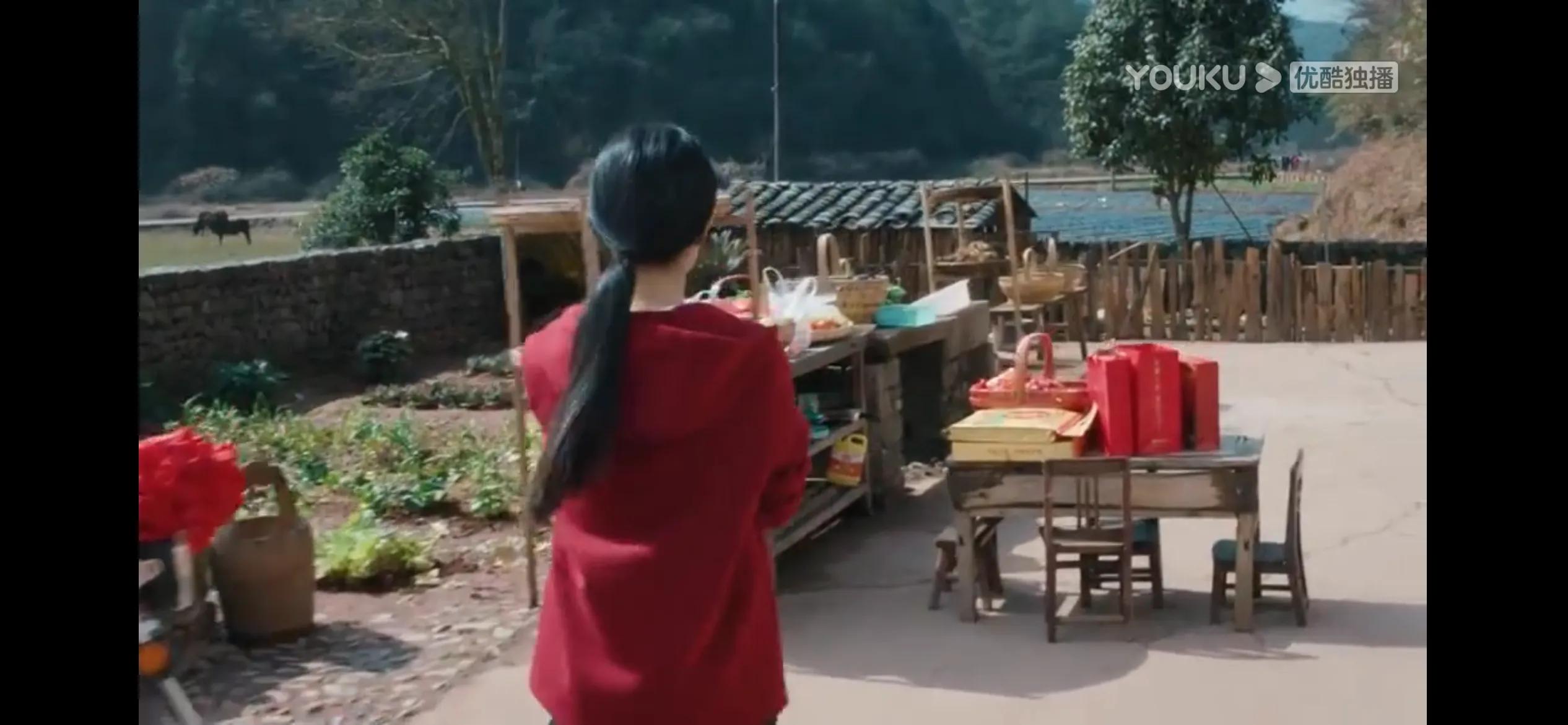 《幸福到万家》：赵丽颖、乡村、接地气——这部剧是否值得看