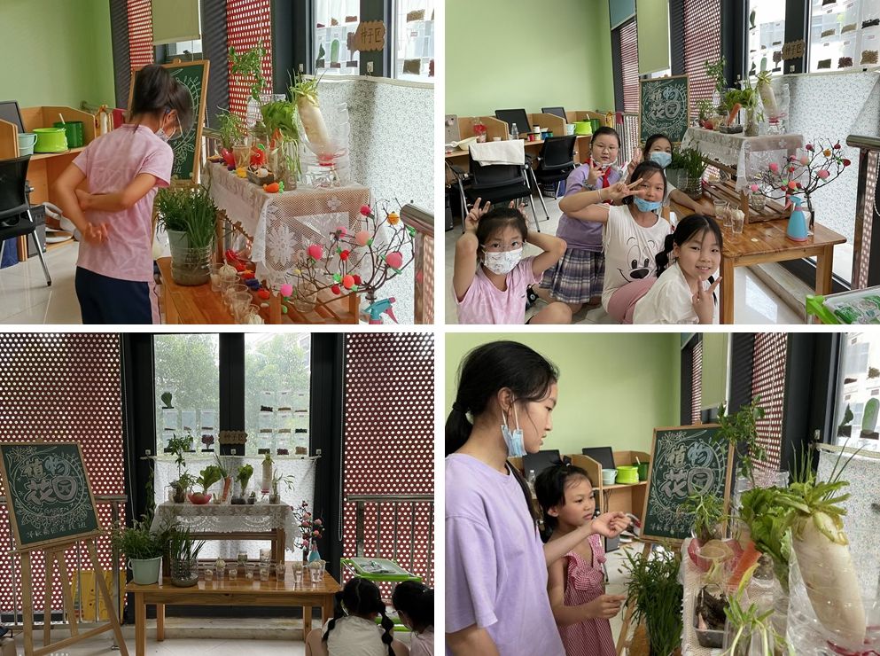 快乐种植周 悦享大丰收 华辰嘉园社区青少年暑托班开展劳动实践活动