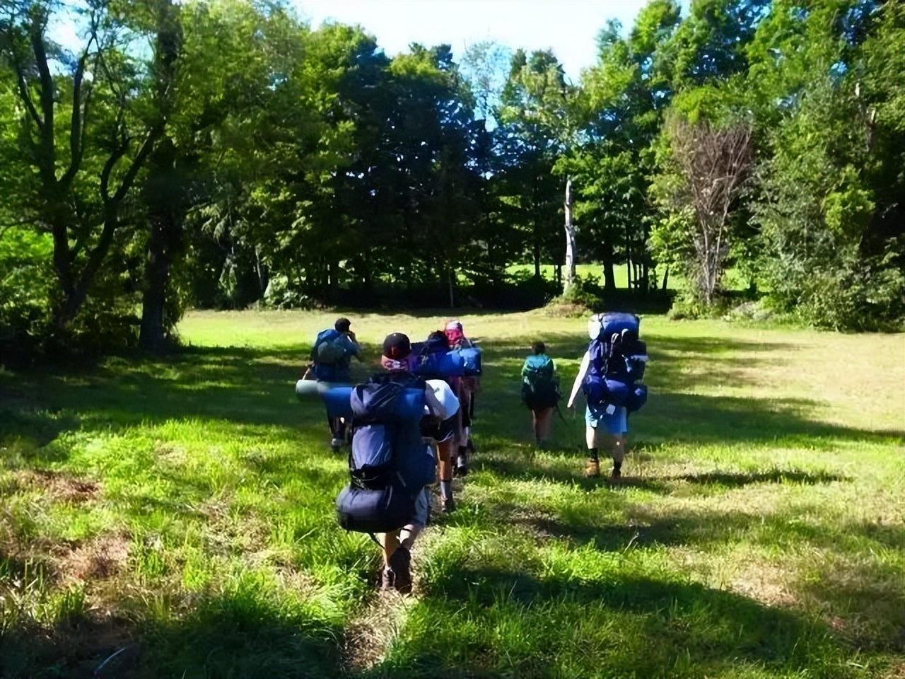 紫色球衣配什么短裤（威廉姆斯学院 Williams College）