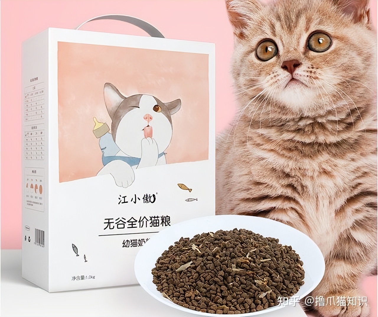 欧冠和卫仕猫粮哪个好(2022年618有哪些值得入的猫粮推荐？高性价比猫粮、猫粮排行榜)