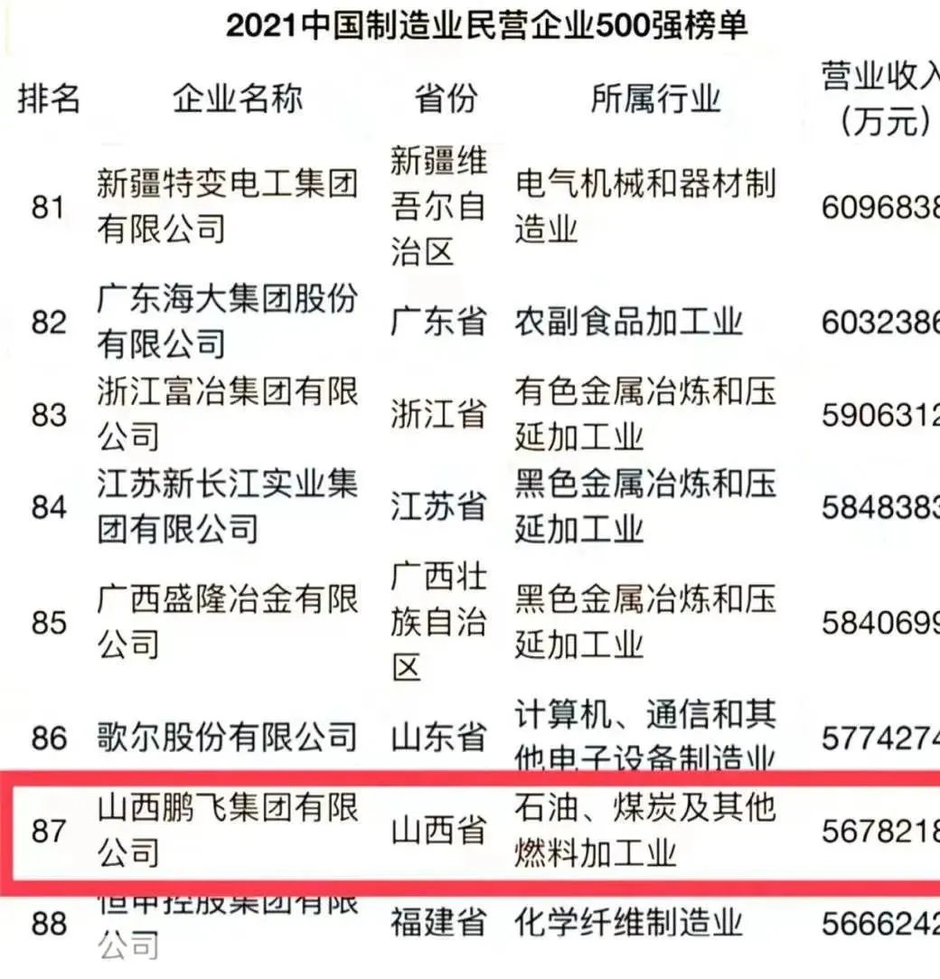 绿色鹏飞 引领未来——2021 成就令人振奋，2022 目标催人奋进