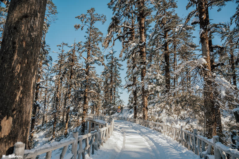 成都周边游 | 川西的雪国秘境，我与瓦屋山的纯白约定