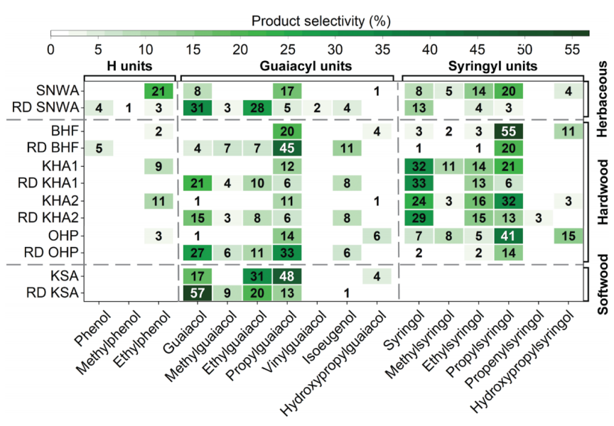 生物精炼木质素生成高值产物，合作者已成立公司探索产业化可行性