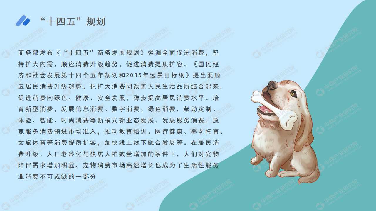 2022年中国宠物经济行业市场前景及投资研究报告