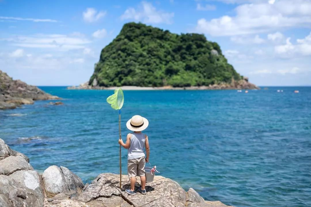 面对校园霸凌，孩子的一句话，让家长深思