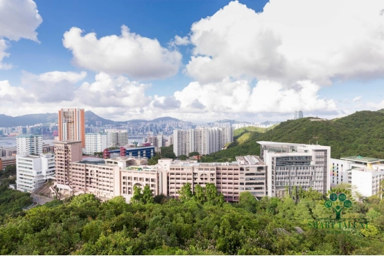 大湾区国际学校，香港领跑？盘点香港5大学术强校