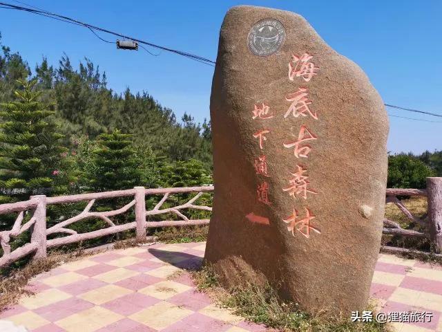 cba哪里生产的（福建晋江深沪镇有10万人，是福建男篮冠名商所在地，有海底古森林）