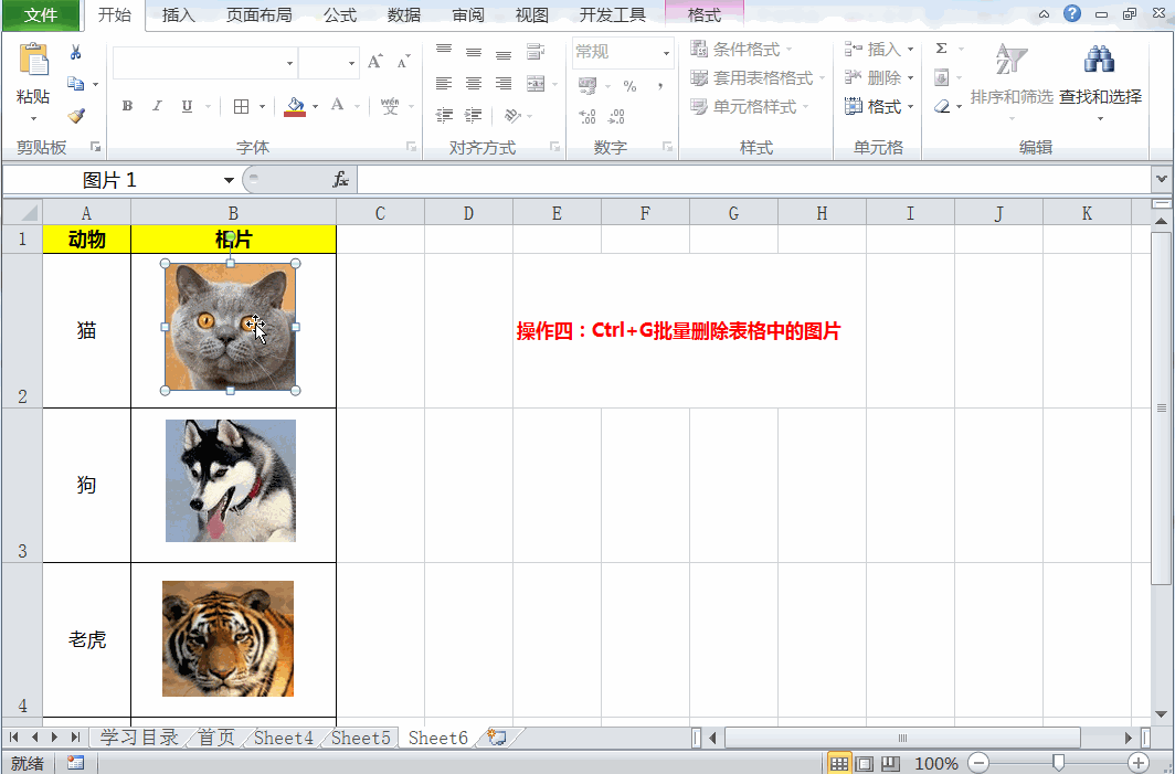 Excel不會Ctrl+G就out了，4種統計用法詳解，讓工作更高效