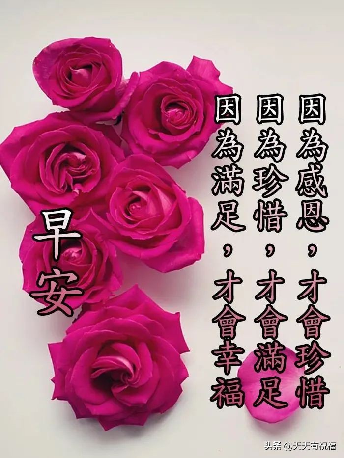 创意唯美的早上好问候祝福语图片文字，早安祝福语图片带字温馨