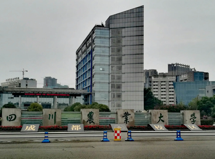 四川高校排名已更新，川大稳坐头把交椅，西南交大跻进前三名