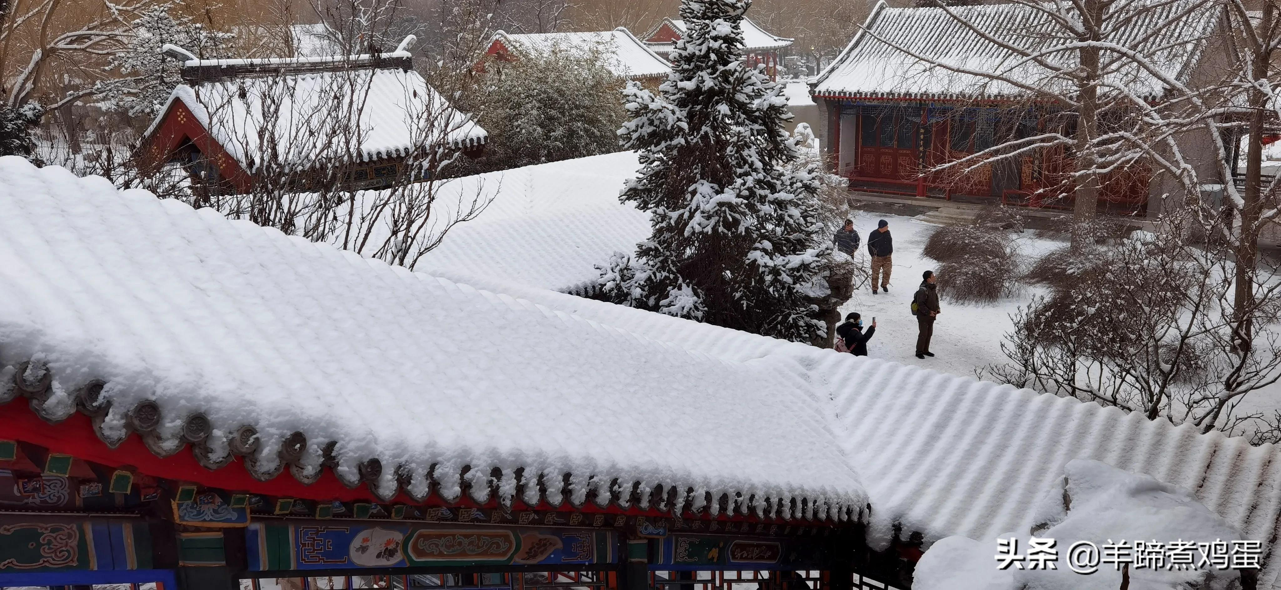 难览观园全画景雪覆腊梅一隅香——踏雪寻游北京大观园