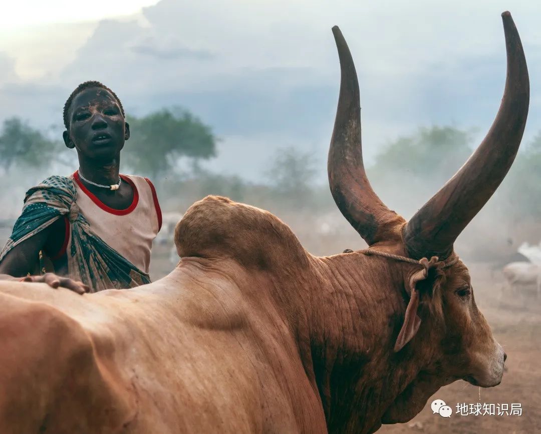 sudanese（南苏丹，独立这11年，过得太惨了 - 地球知识局）