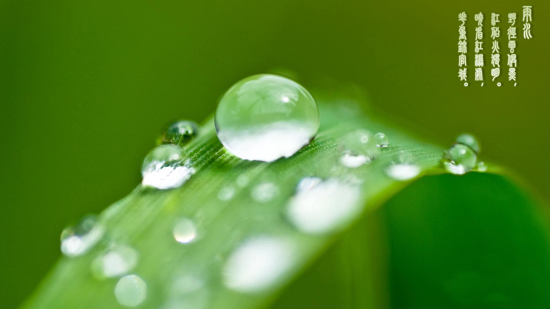 雨水：一场春雨，十里春风，愿你一路繁花向前，浅笑安然