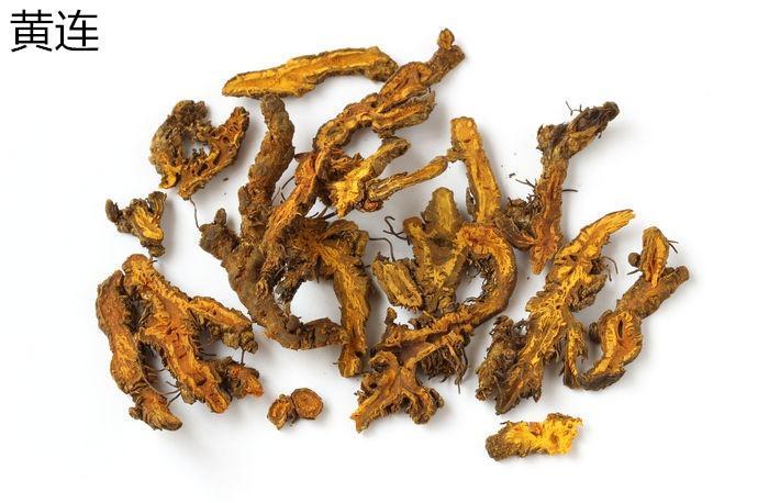 黄连,因入口极苦被人熟知,正所谓:"哑巴吃黄连,有苦说不出".