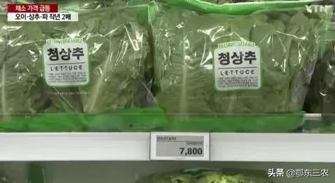 韩国生菜卖到200韩元一片，重工轻农很难逆转，给世人提个醒