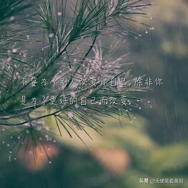 简短好句摘抄