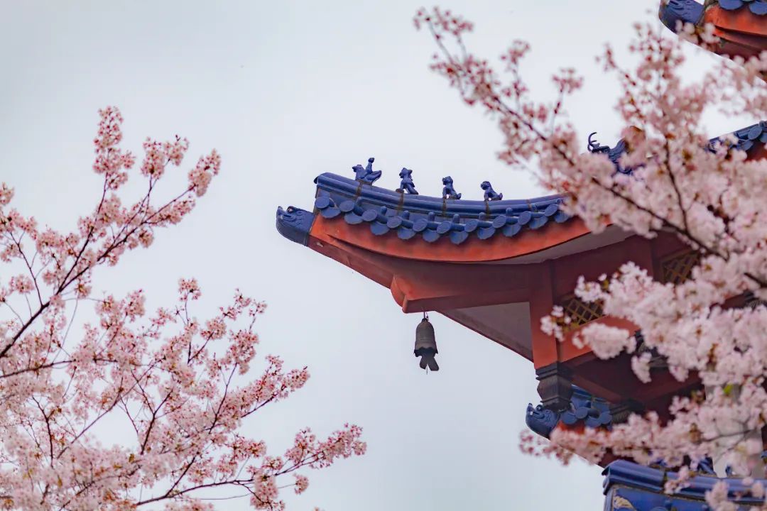 而立之(zhi)年是多大（而立之年(nian)是多大年龄你还知道类似爱情）-第7张图片-大连信息(xi)网