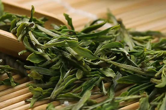 冲泡绿茶最忌讳先放茶后倒水？教你3种泡法，泡一杯好茶不是问题
