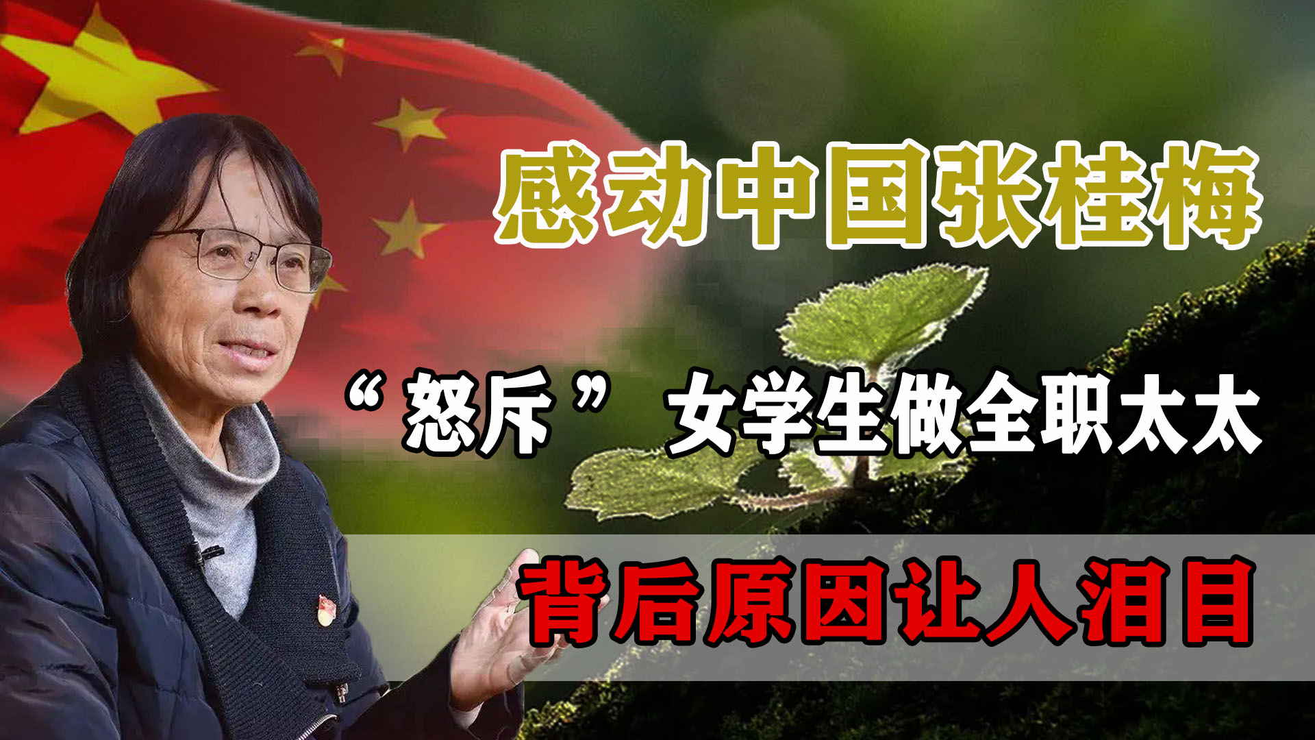 “奇迹校长”张桂梅，大山深处筑起梦想家园，圆数千女孩大学梦