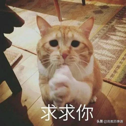 关于高考择校：我的一些想法和建议，以及请求