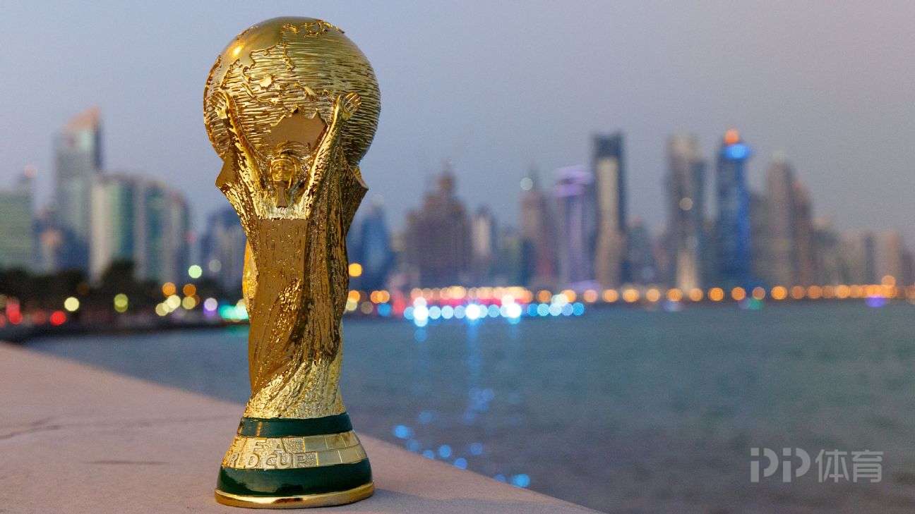 卡塔尔世界杯门票最贵多少钱（外媒：卡塔尔世界杯决赛最昂贵门票1600美元 远超上届决赛）