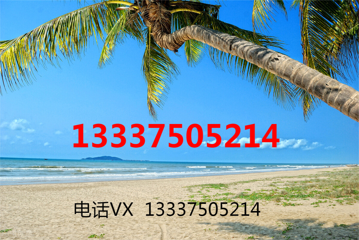 企业注册号（海南注册公司基本流程）