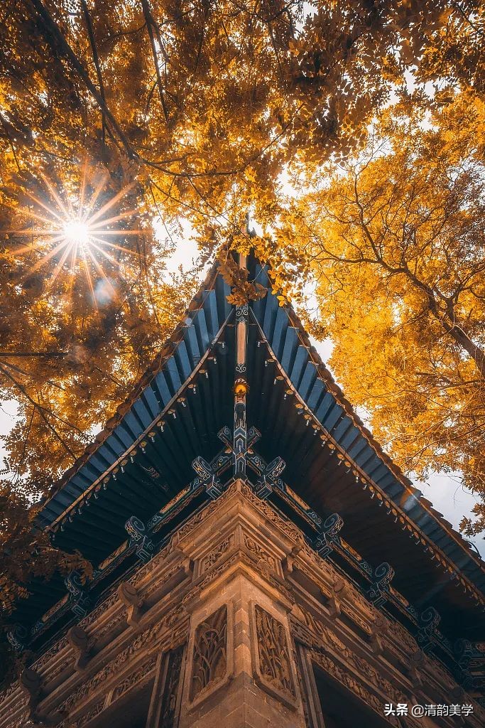 中国十大古建筑瑰宝：千年文明的建筑奇迹
