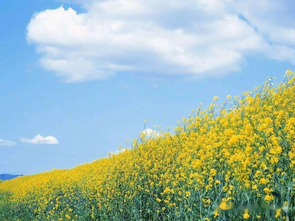 走过春夏秋冬，感悟人生四季