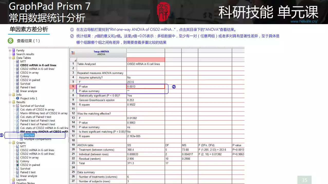 GraphPad Prism统计，常见分析方法打包扔给你