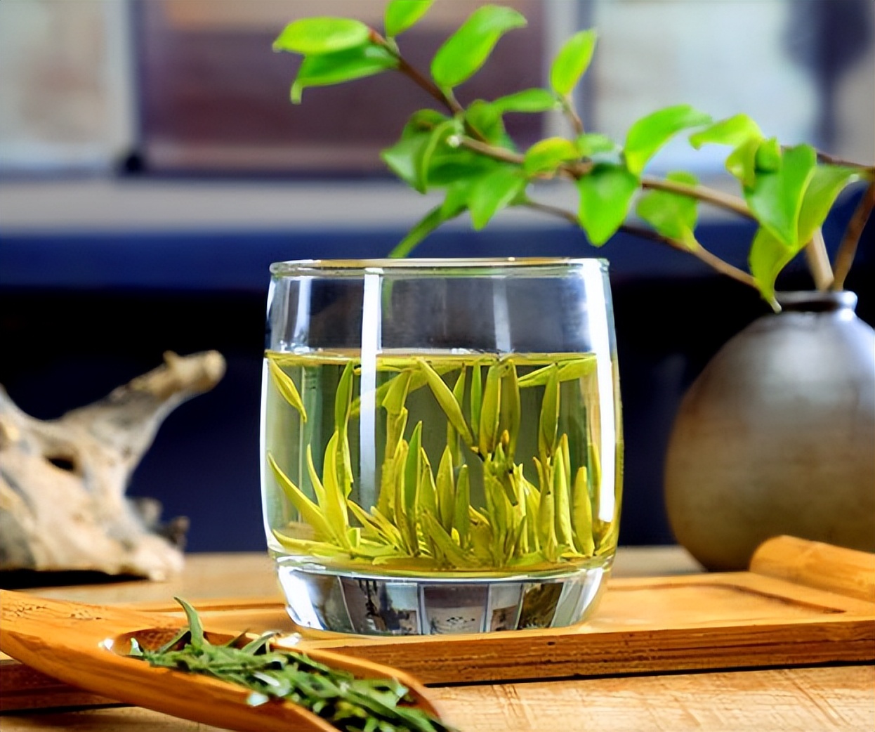 “夏4茶，郎中不找茬”，建季常喝茶，喝出健康色好