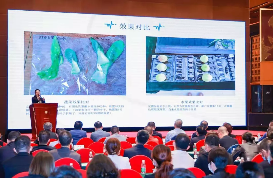 海南省旅游饭店业协会第二届消博会接待动员大会顺利召开