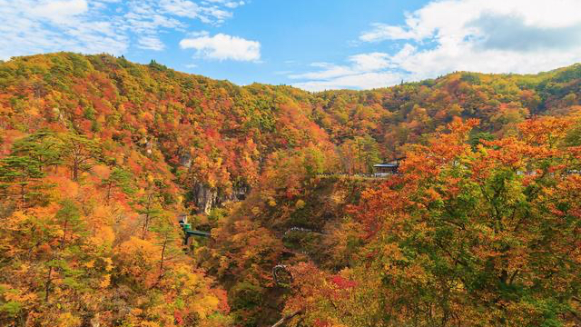 武汉周边的旅游景点，远郊和朋友圈城市景区，适合度周末和小长假