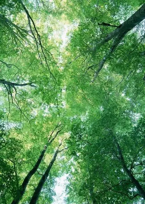 养育孩子需与时俱进，方能读懂他们时代的语言与心跳