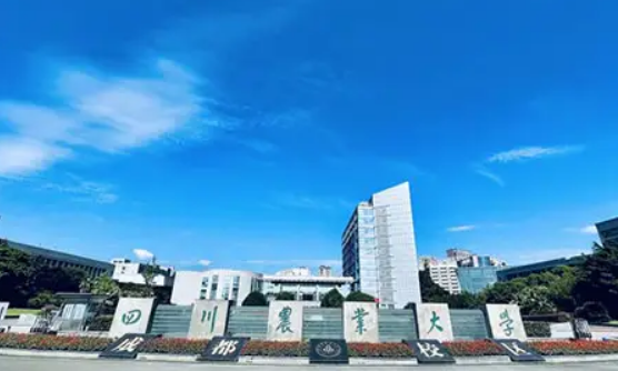 四川高校排名重新洗牌，川大稳坐头把交椅，成都理工跌出前五