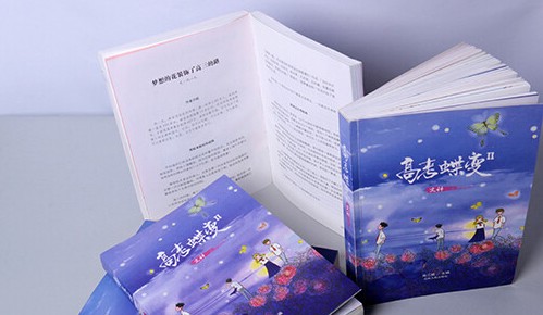 廈門中職學校什么專業(yè)比較好？_廈門省東南技術學校（北大青鳥）