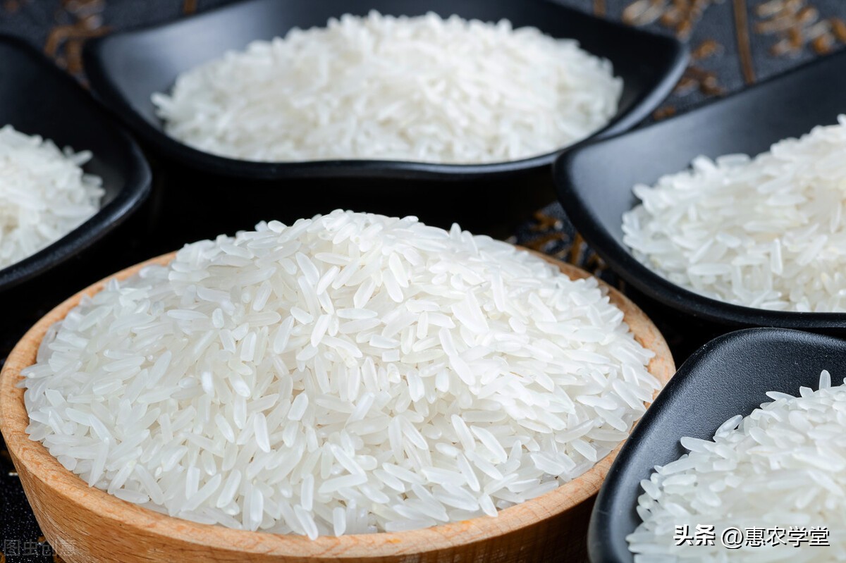 大米价格今日价河南省「今日大米价格多少钱一斤」