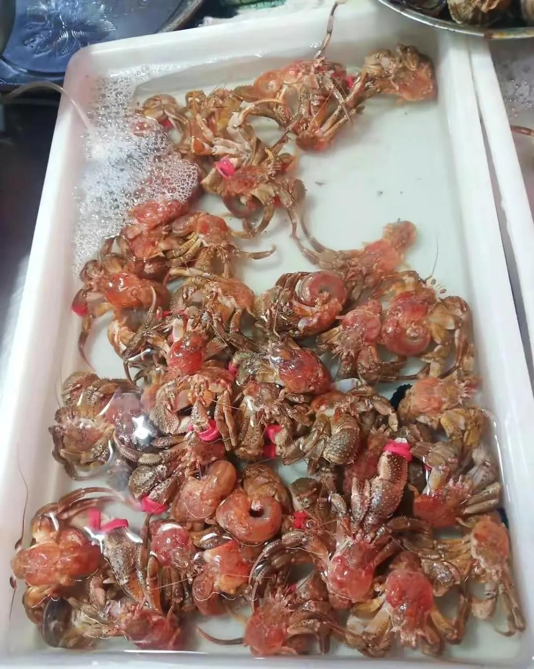 海虹螃蟹海红,海虹螃蟹(第7页)_大山谷图库