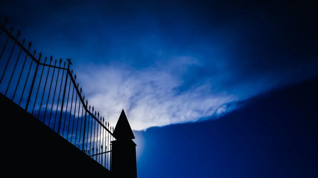 上市十年，唯品会除了衣服还能卖什么？