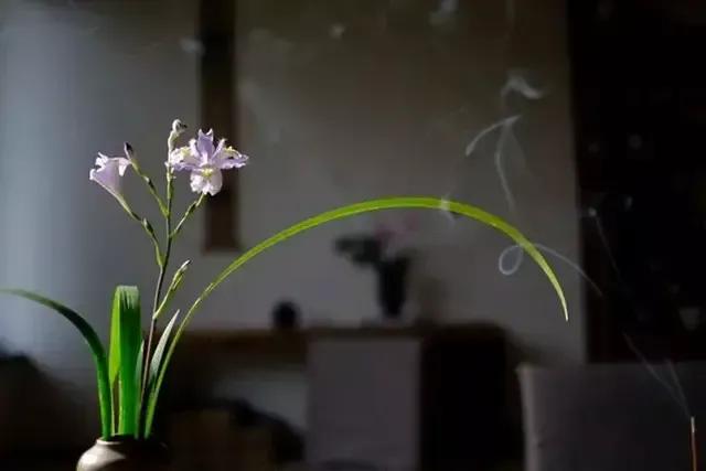 愿走遍人间所有的路，所遇皆是温柔