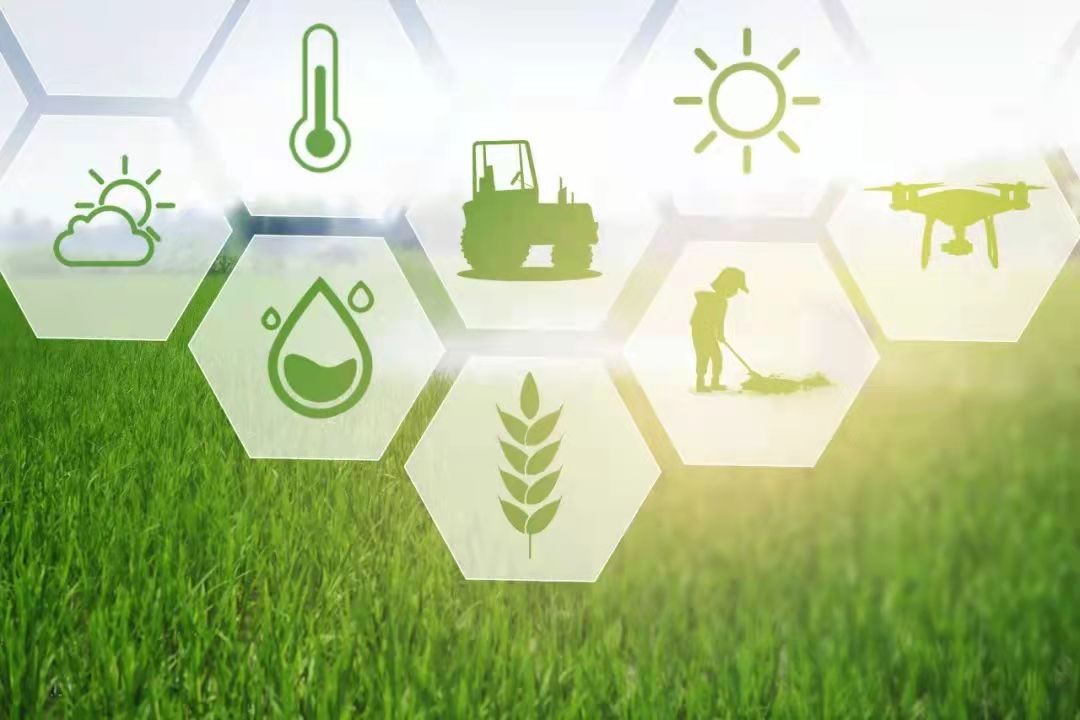 新IT技术振兴乡村经济，联想集团助智慧农业惠及千家万户