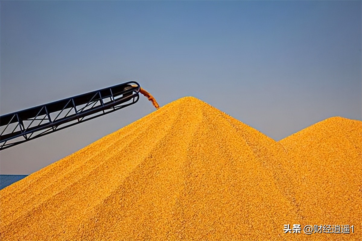 未续涨！今天，每吨玉米价格跌15元，其价格涨不动了？