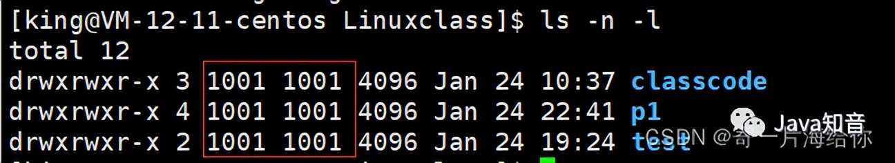 万字详解 Linux 常用指令（值得收藏）