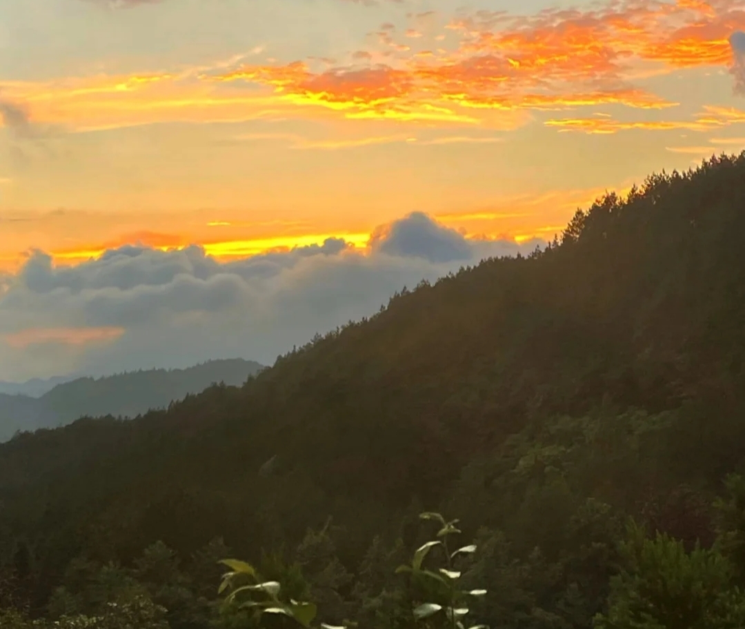 重庆哪里住宿便宜(重庆附近，有着湖北的凉都，比恩施市区适合避暑，夏天度假安逸)