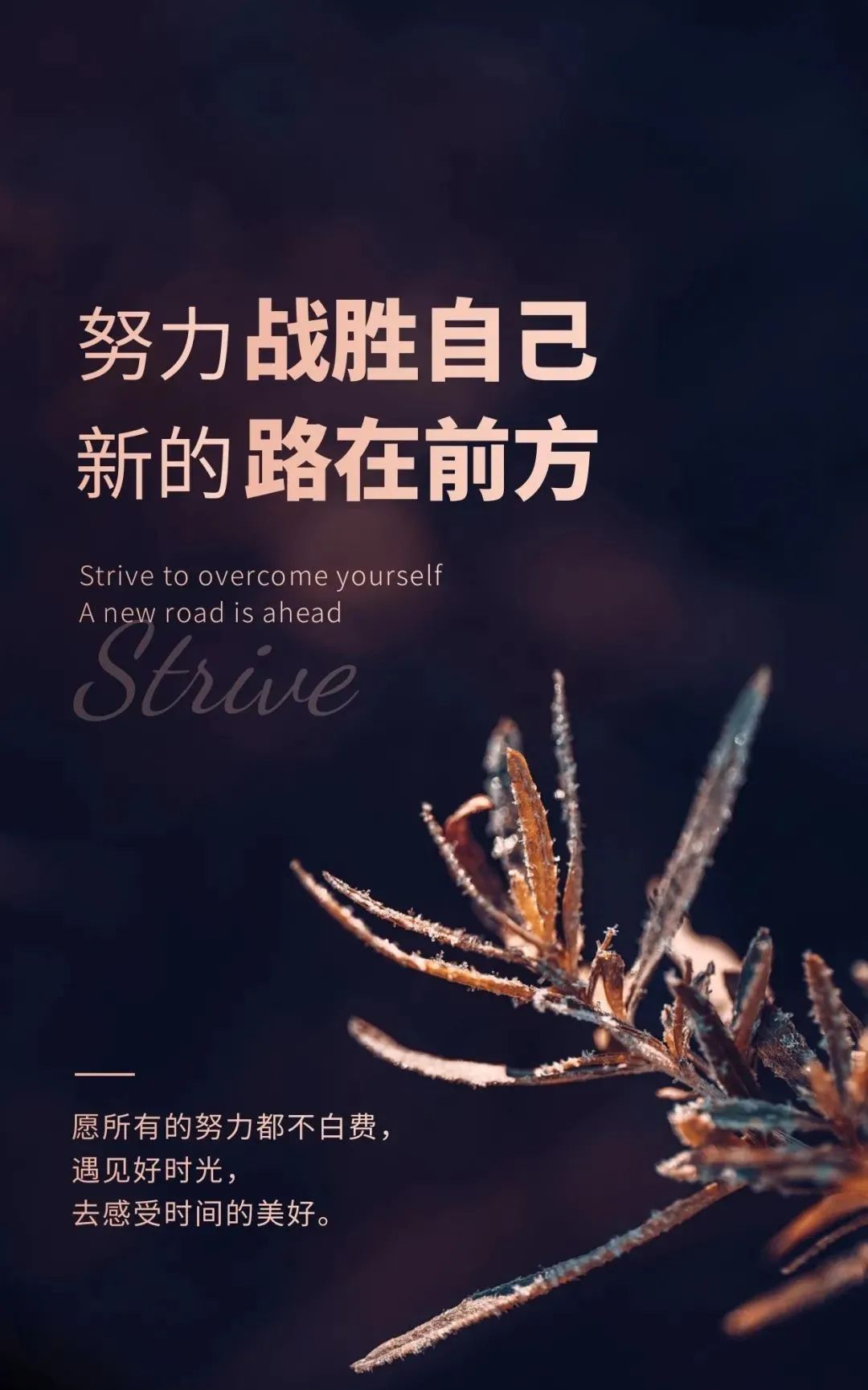 明天加油，全力以赴，相信自己，成功就在前方！