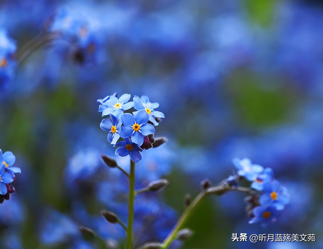 与你相知，是今生最幸福的事